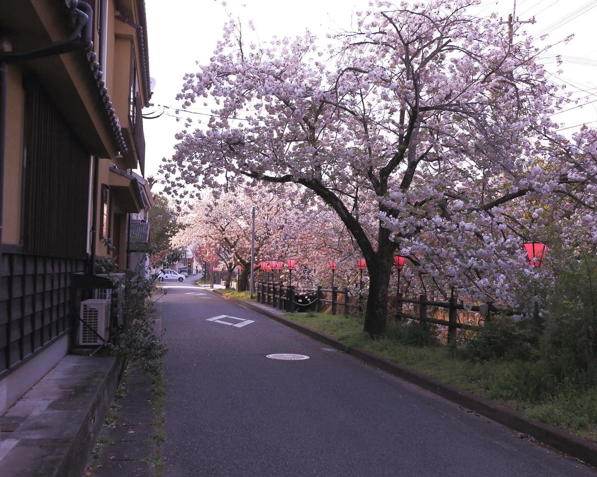 日田市 五月旅馆酒店 外观 照片
